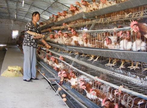 90后想创业做什么比较好,最适合打工的创业方式