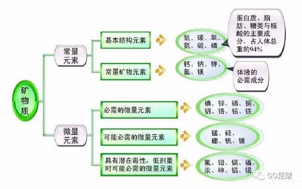 原创｜你说你踢球，但你知道这些简单的营养学知识吗？