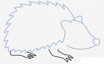 刺猬简笔画简单又漂亮,刺猬简笔画冬眠