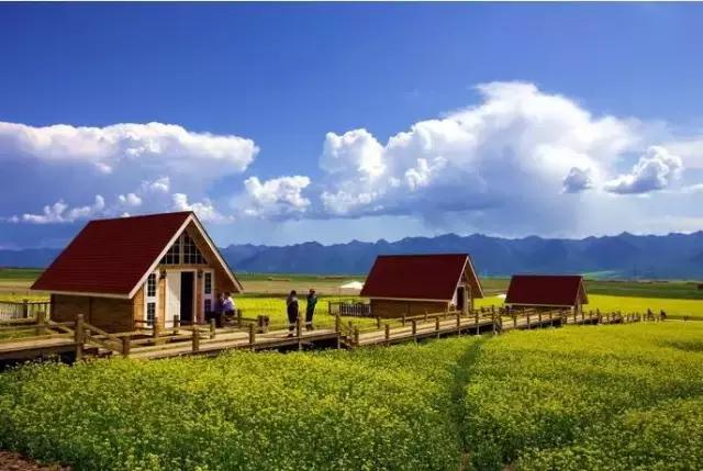 武汉这几年为什么这么火,武汉新的一年从哪开始