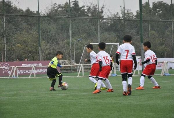 南充奥航杯足球联赛,四川南充奥航足球俱乐部