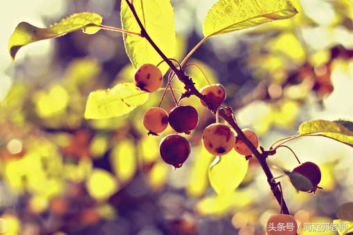 考试怯场是应激吗,克服考试怯场