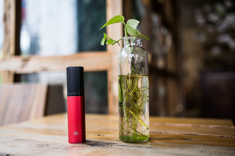 我为歌狂唱歌片段,我为歌狂现场演唱