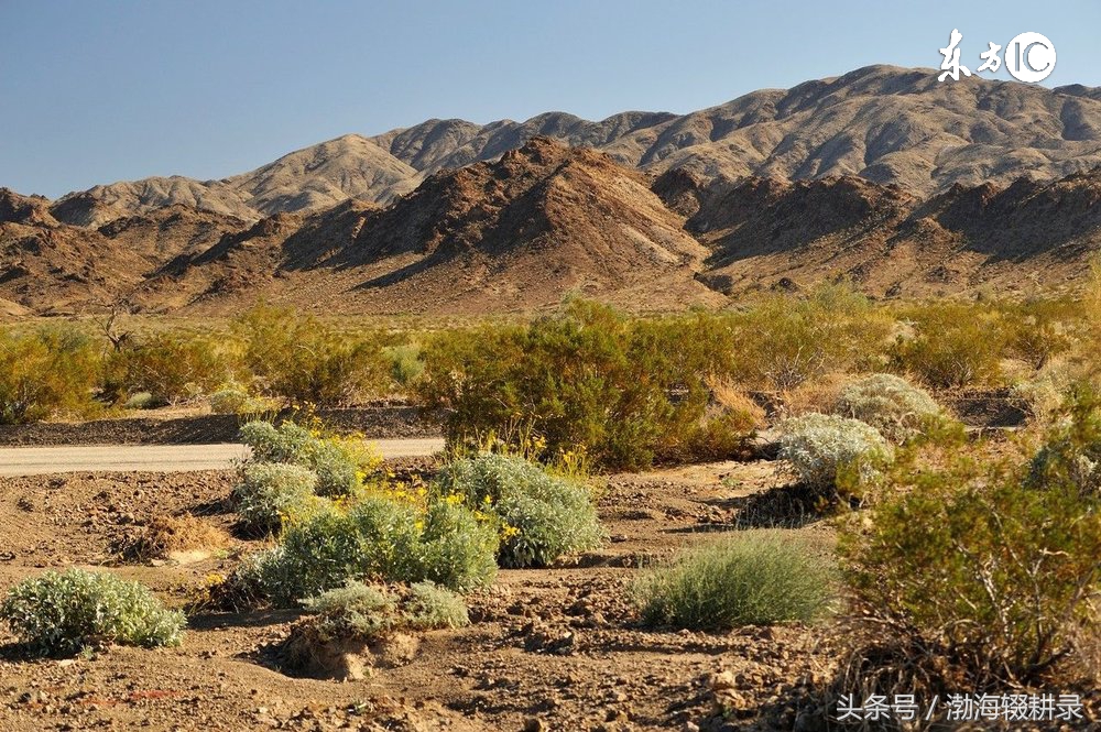 命理八字不好怎么办,命理不好的能化解吗