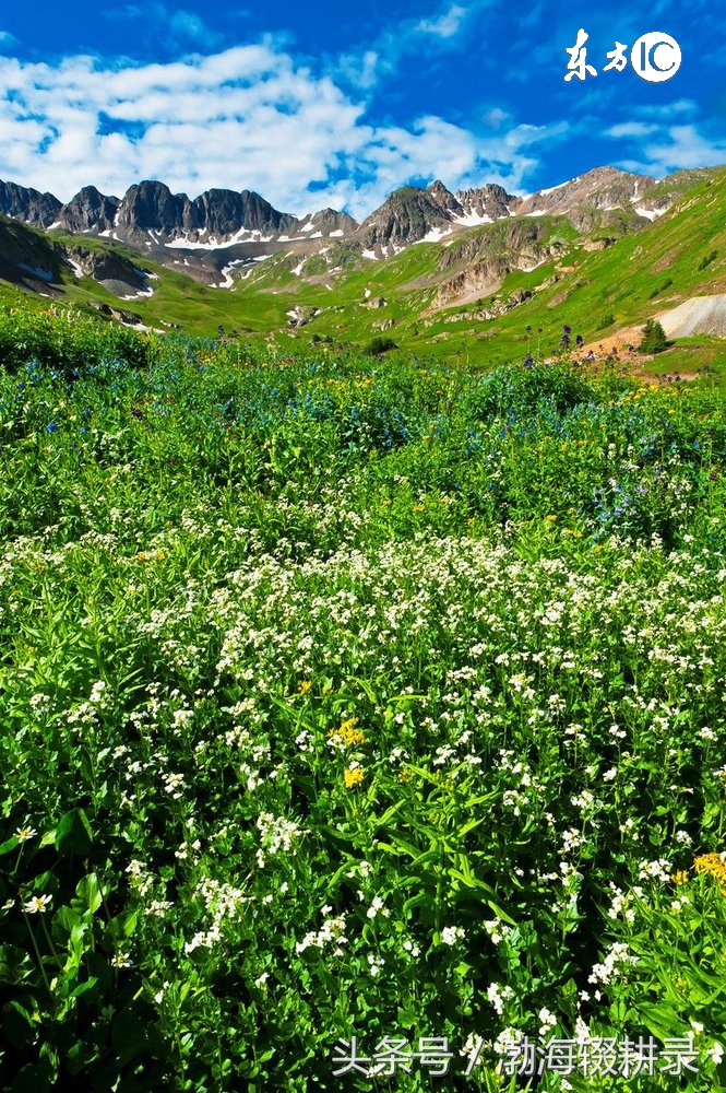 命理八字不好怎么办,命理不好的能化解吗