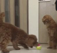 十条笑话：三十年前家里就有拖拉机，我常开，保证一考就过