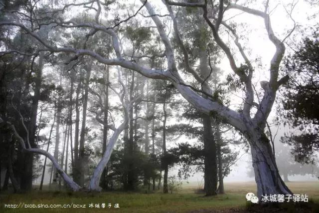 澳大利亚小镇都叫什么名字,澳大利亚蓝山为什么叫蓝山