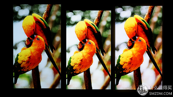 vivoxplay6内外屏是一体的吗,vivoxplay6曲面屏参数