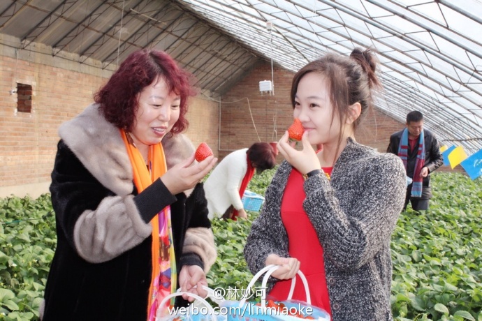 林妙可为什么长大不漂亮了,林妙可为什么老气