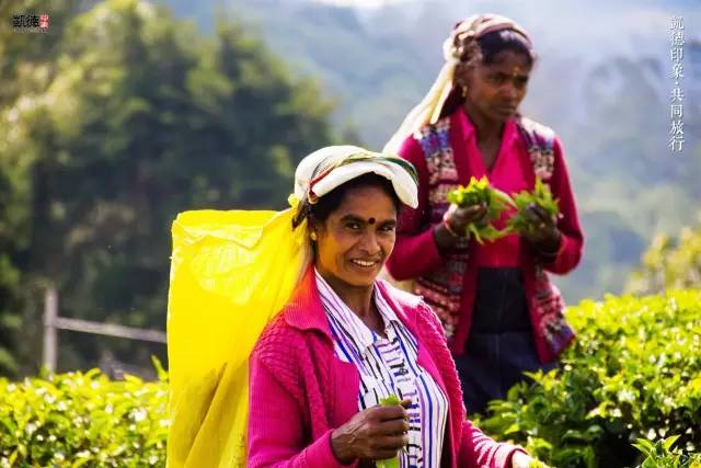 斯里兰卡十天自由行攻略,遇见斯里兰卡