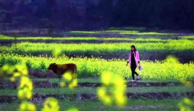 春风里，大爱罗田！