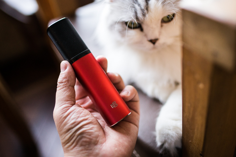 我为歌狂唱歌片段,我为歌狂现场演唱