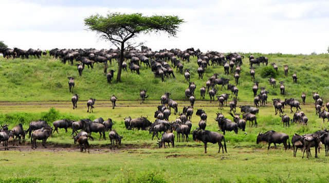 38个对中国免签的国家和地区,2022年7月份旅游值得去的免签国家