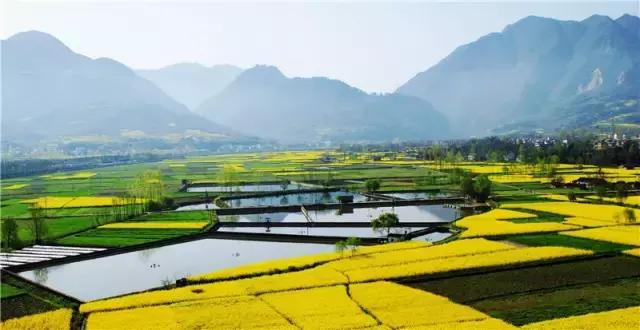 2018汉中油菜花旅游攻略,2024汉中油菜花自驾游攻略
