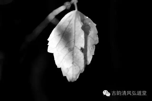 静在自然中,静悟人生真谛