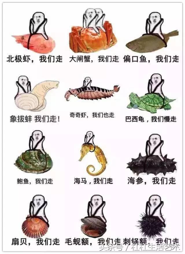 丁酉是什么火,丁酉是不是就是丁火