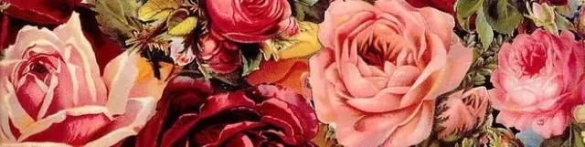 玫瑰控日用品,玫瑰控