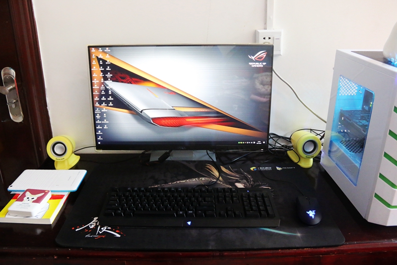 还有什么东西是淘宝上买不到的,万能的淘宝有你想买却买不到的