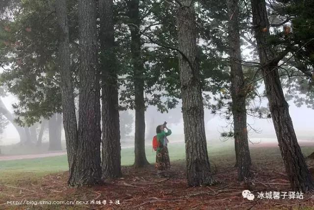 澳大利亚小镇都叫什么名字,澳大利亚蓝山为什么叫蓝山