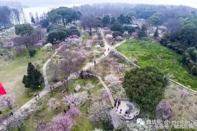 湖北元宵节游玩攻略,元宵节可以去哪些地方游玩