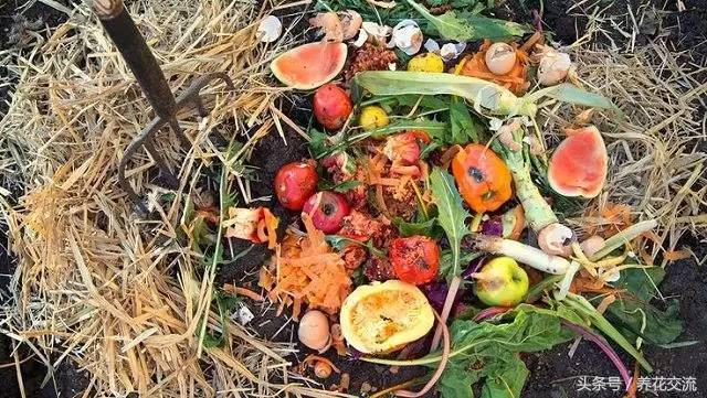 种花土怎么堆肥,养花旧土怎么不花钱处理成营养土