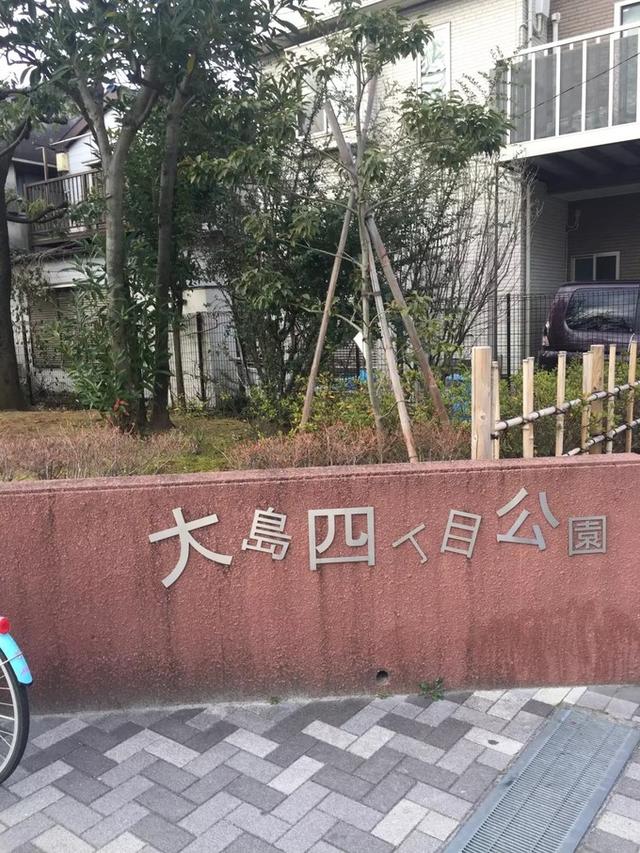 日本dokkan植物酵素老爸评测 (春节日本15天自由行)