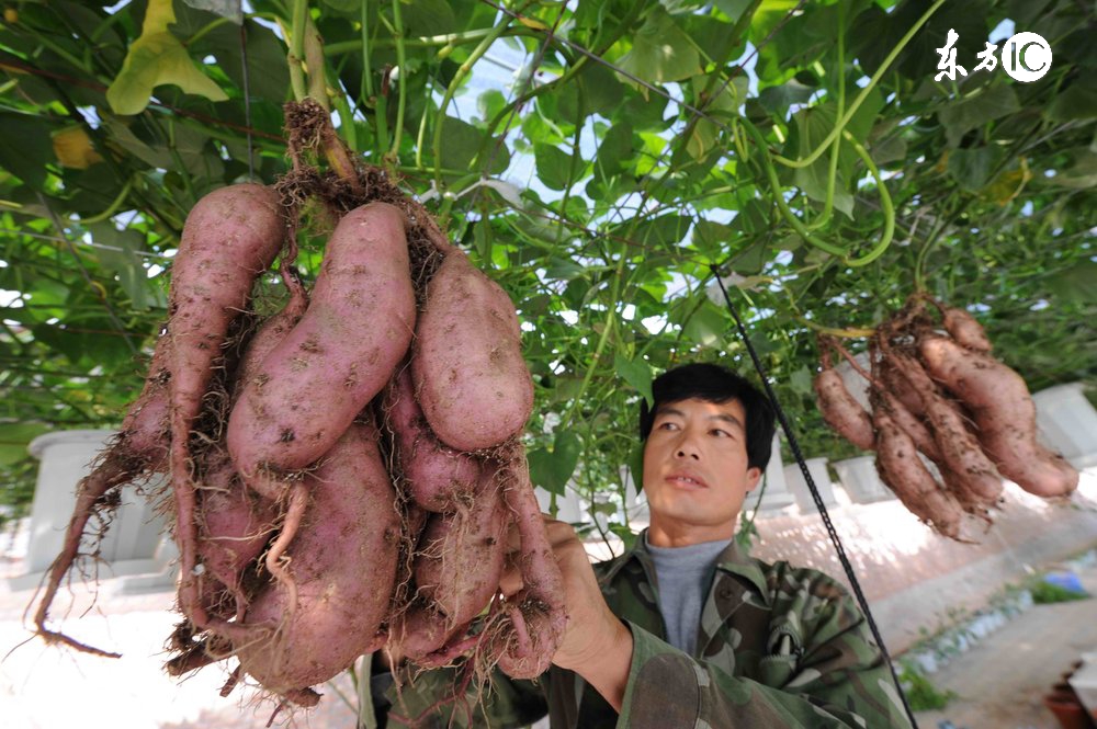 工作胀肚子最快的解决方法,工作一整天后肚子又大又圆怎么办