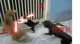 遇到老虎怎么办搞笑段子,动物遇到老虎的搞笑时刻