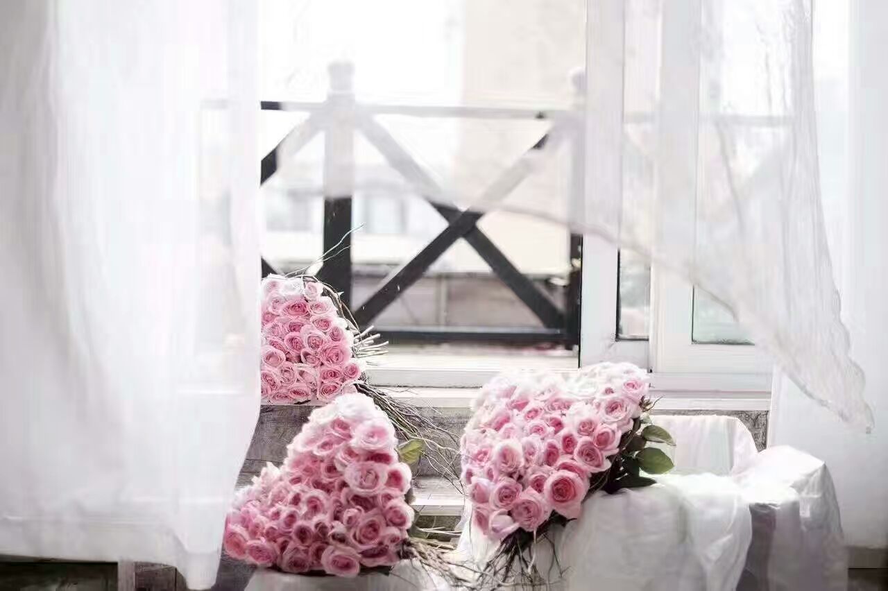 玫瑰集爱与美于一身,集爱与美于一身的玫瑰花