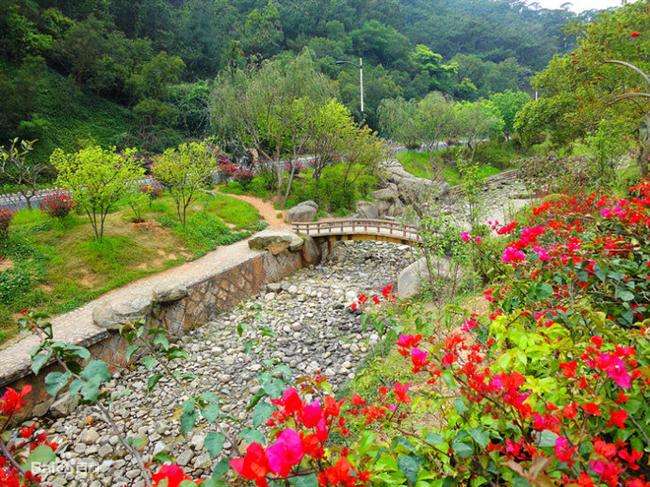 厦门慢生活惬意悠哉,厦门悠闲一日游