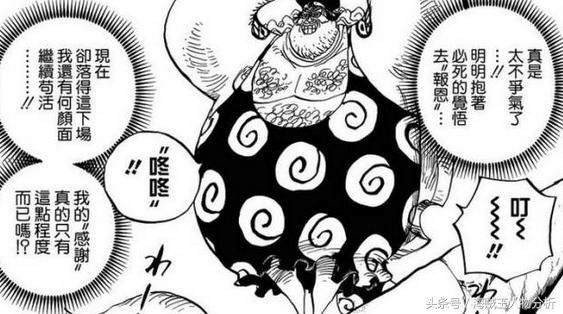 草帽大船团7番队长,草帽大船团七位队长