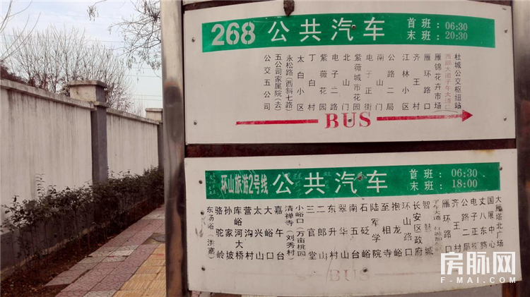 左边万科城,右边智慧城,合能公馆在长安一点也不偏!