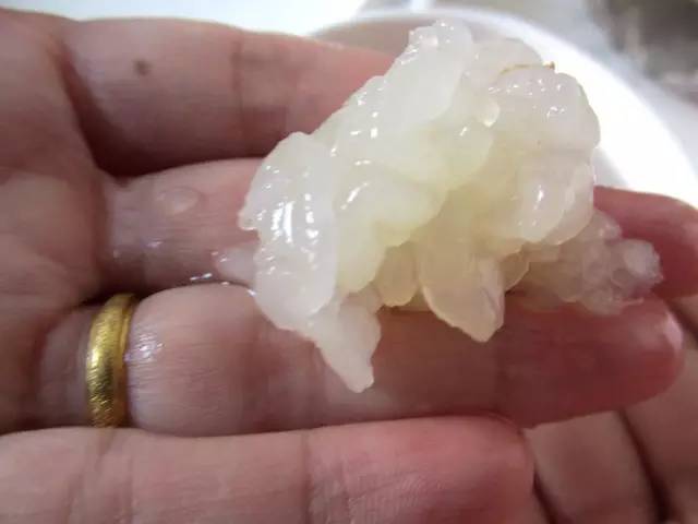 木瓜女生为什么喜欢吃,木瓜炖雪蛤的雪蛤是什么