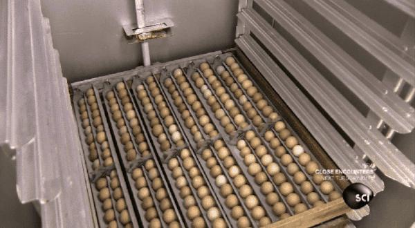 说出来你可能不信我是什么意思,说出来你可能不信是什么意思