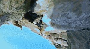 豆瓣9.7的企鹅版《无间道》，上演最萌版「原配撕小三」！