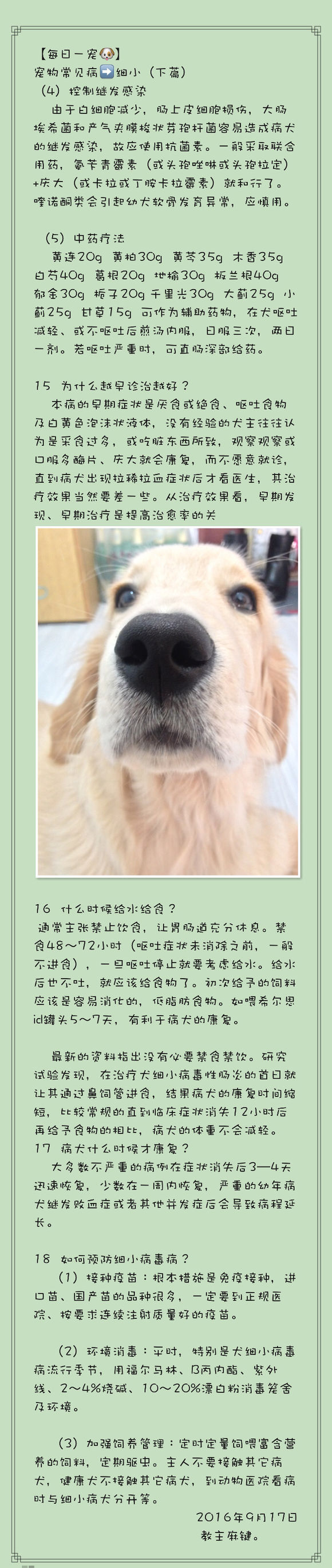 宠物腹泻时如何正确处理伤口,宠物腹泻和拉稀的区别在哪个部位