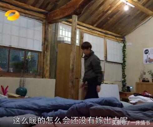 何炅和何老师现状,何炅为什么被叫何老师