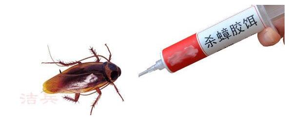 彻底消灭德国小蠊,家里好多德国小蠊