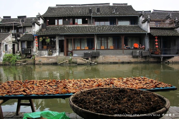 西塘古镇有什么小吃,西塘古镇有什么著名小吃