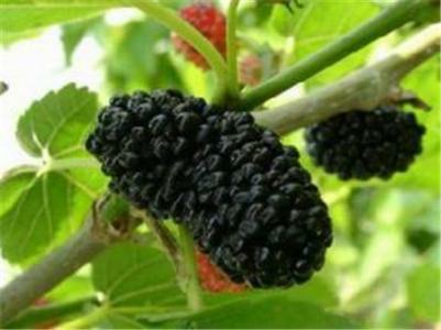 男人期待女人爱你,男人对女人的爱是永远的牵挂