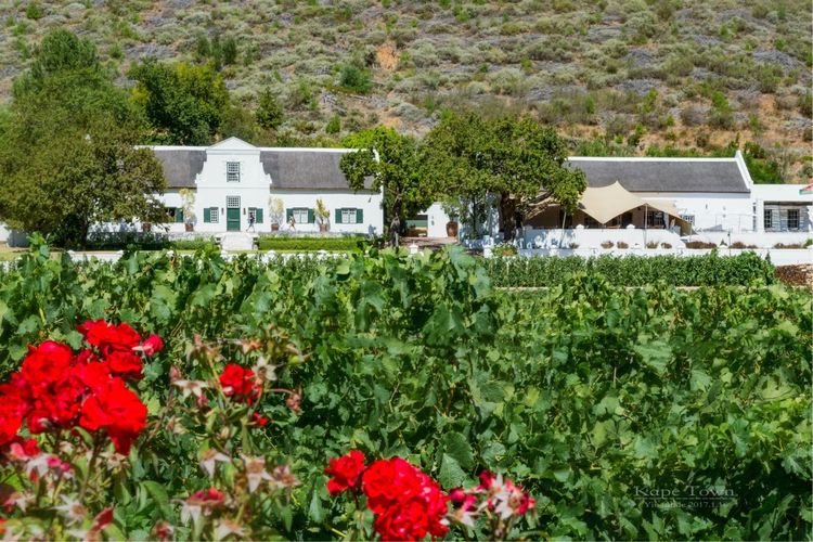 走进彩虹之国感受南非独特之美,彩虹之国南非