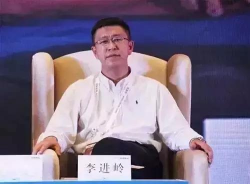 万达电商ceo (万达电商是干什么的)