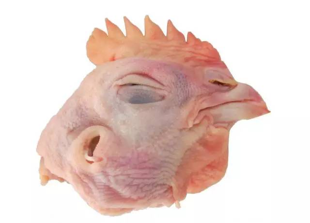 法国公鸡与法国鳄鱼哪个档次高,法国公鸡属于哪种档次