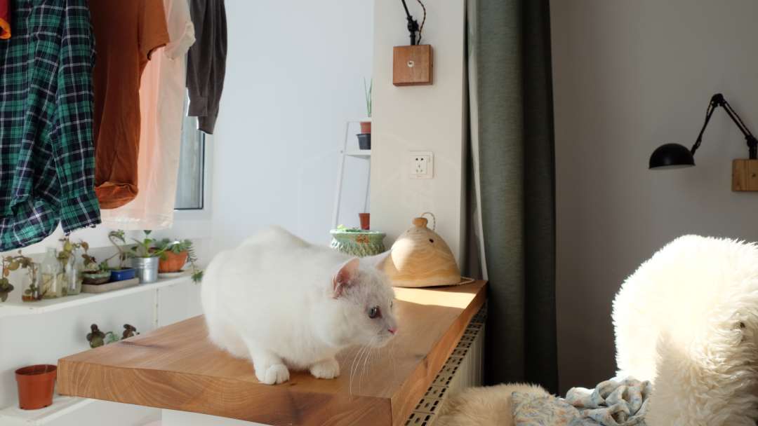 宜家的厨房橱柜质量怎么样,宜家厨房怎么样