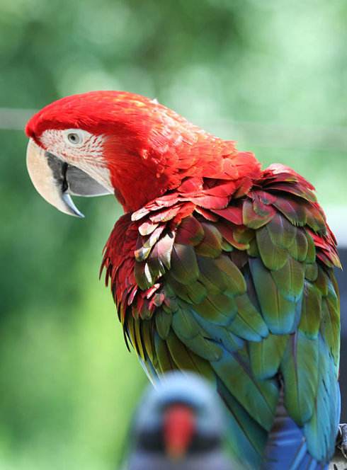 沈阳鸟岛视频,沈阳都有啥桥