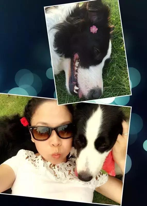 长沙宠物蜥蜴品种有哪些,别人家养的宠物蜥蜴食肉动物