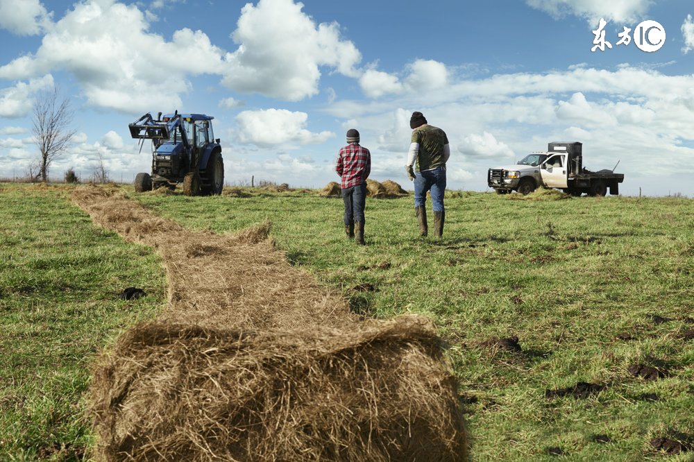 有合作社还可以办理家庭农场吗,有合作社可以申请家庭农场吗