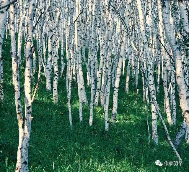 藏婚｜我爱你好好，但我无法娶你-08