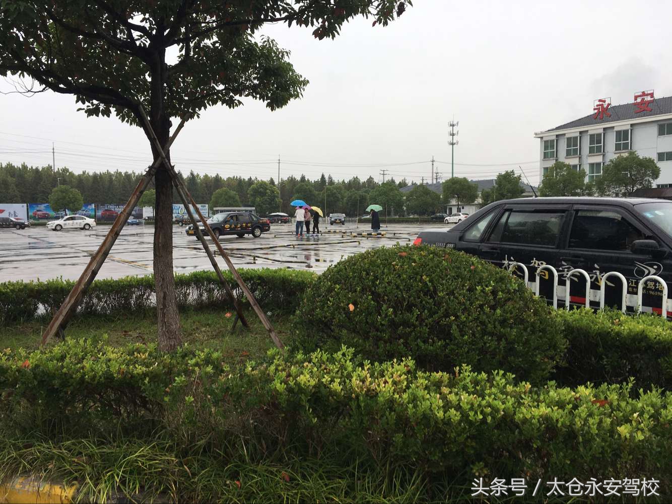 考驾照经验和心得,考驾照心得科目一