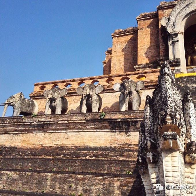 能在异国被警察抓也没谁了吧？这是我的清迈，和你去的不一样！